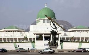 The National Assembly 