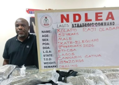 NDLEA Arrests Real Estate CEO,  89kg of ‘Canadian Loud’ Found inside Apartment