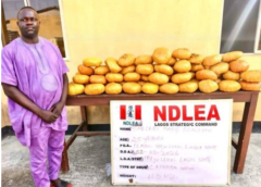 NDLEA Arrests Ex-Lagos Councillor, Assembly Aide Over 40kg Skunk Hidden in Baby Diapers