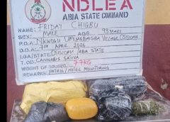 NDLEA Arrests 93-Year-Old Man, 69-Year-Old Doctor in Major Cocaine, Skunk Trafficking Crackdown