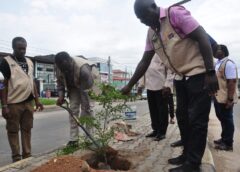 Tree Planting Campaign Expands as Lagos and Port Harcourt Lead Re-Greening Efforts