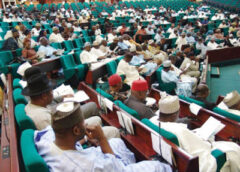 Xenophobic Attacks: Reps Call on FG to Suspend Business Permits for South African Firms Amid Rising Tensions