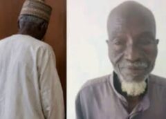 Adamawa: 87-Year-Old Man Allegedly Attacks Judge With Cutlass in Court