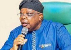 Nigerians Mock Power Minister Over ‘Freezers Are Freezing’ Remark