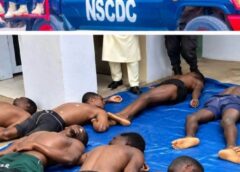 37 Suspected Illegal Miners Die in NSCDC Custody in Niger