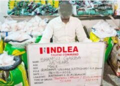 NDLEA Intercepts Saudi-Bound Cannabis, Seizes N6.98bn Tramadol at Lagos Port