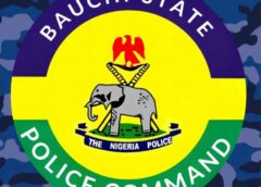 18-Year-Old Wife Arrested for Allegedly Stabbing Husband Over Phone, Money in Bauchi